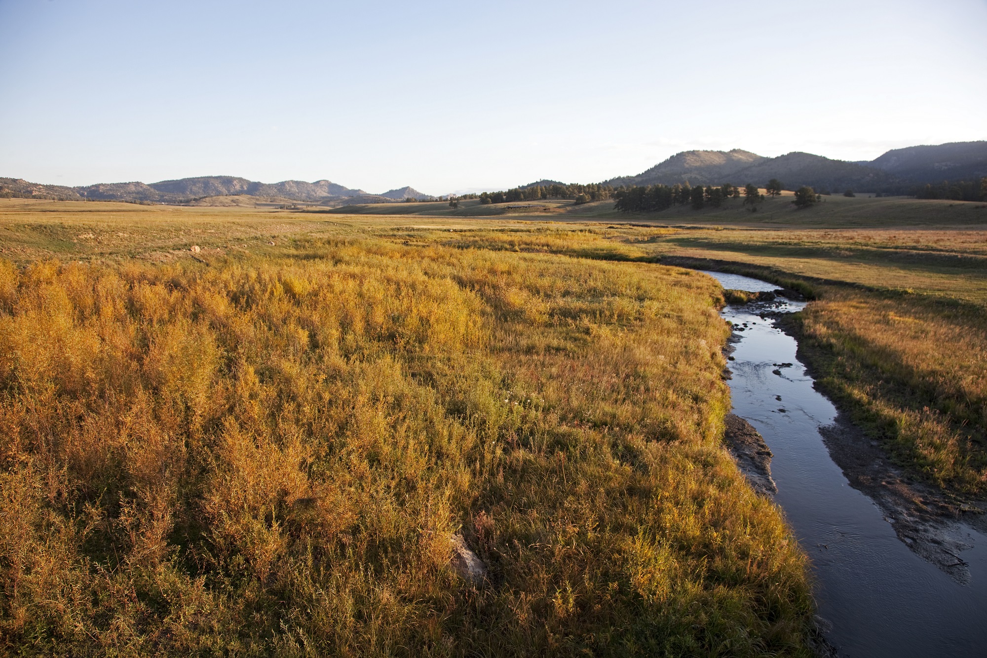 Landowner Services Palmer Land Conservancy